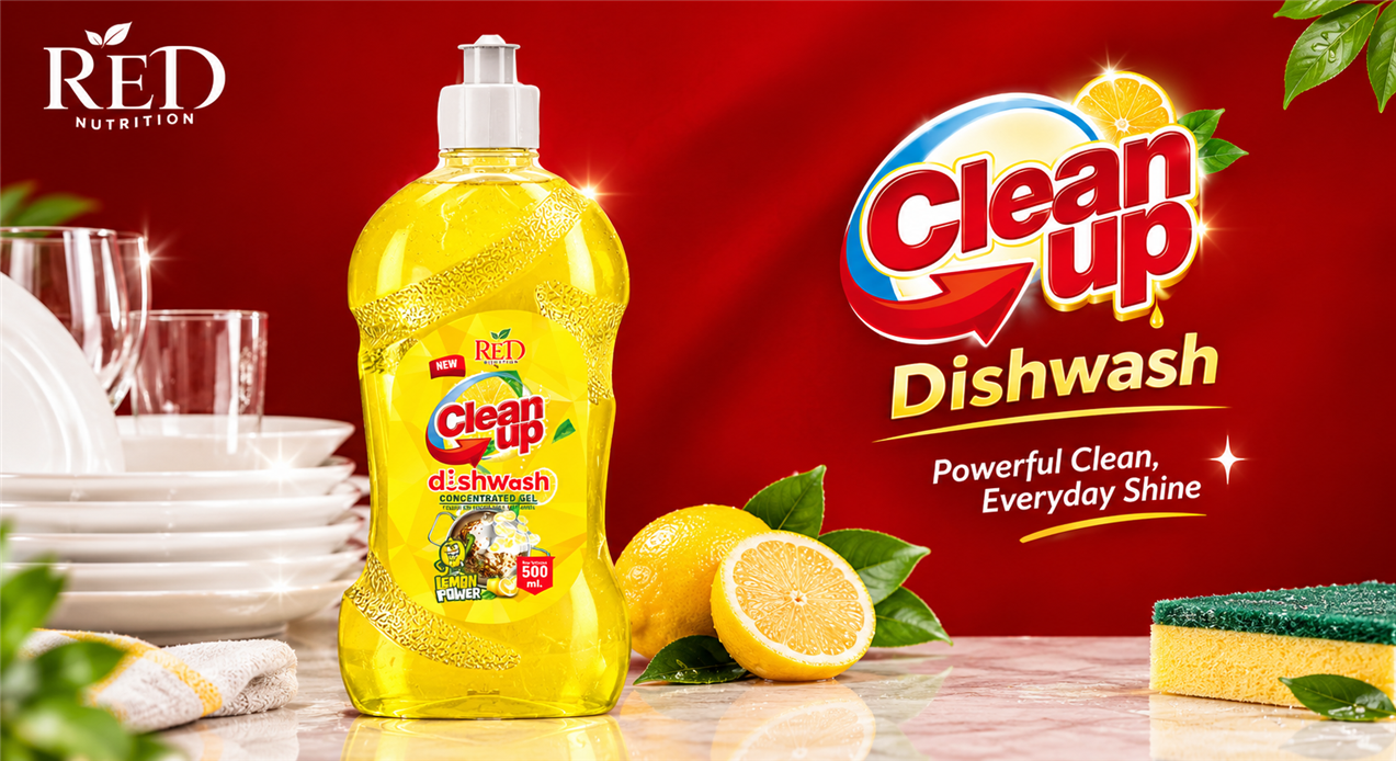 Dishwasher Liquid - 500ml